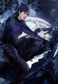 风流侠医