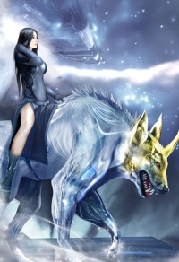狂婿归来