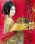 我的王妃不太冷